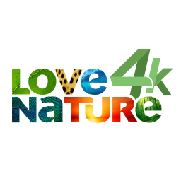 Love Nature 4K