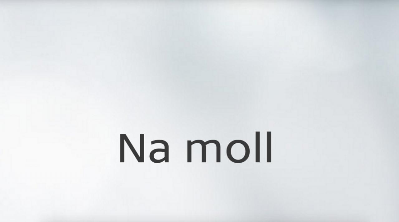 Na moll... / 28.09.2024, 02:20