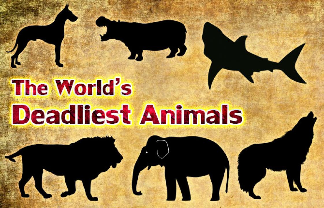 World's Deadliest Animals