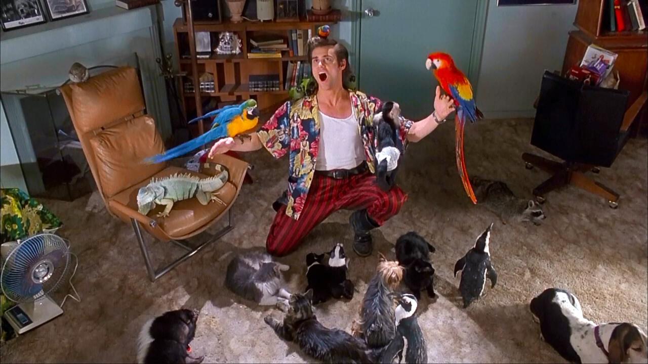 Ace Ventura: Zvířecí detektiv