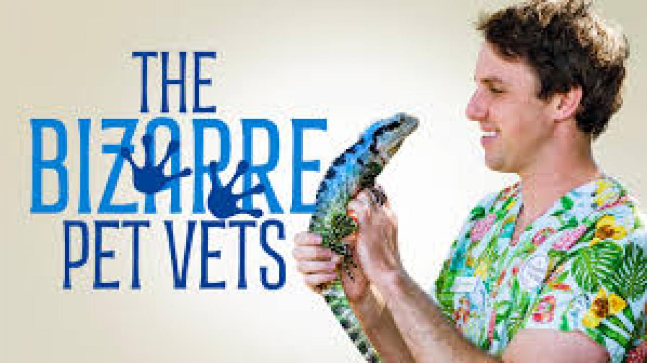 The Bizarre Pet Vets