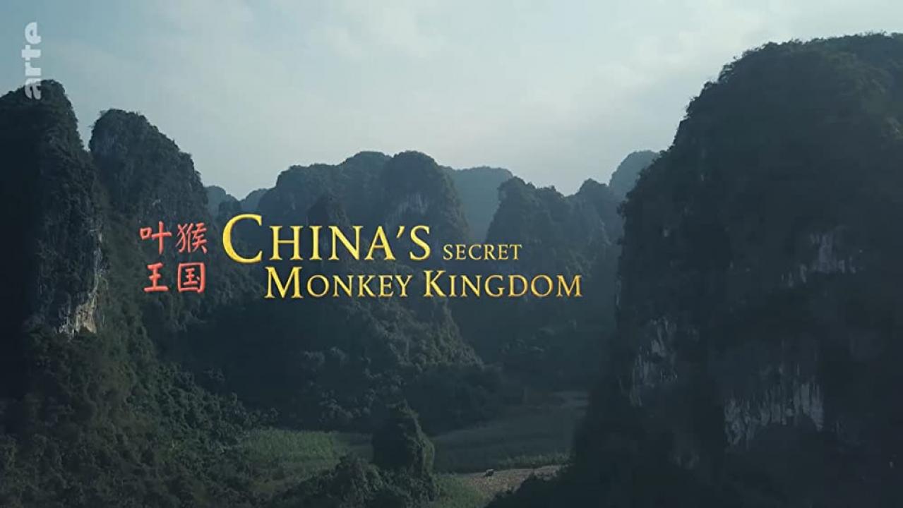 China’s Secret Monkey Kingdom