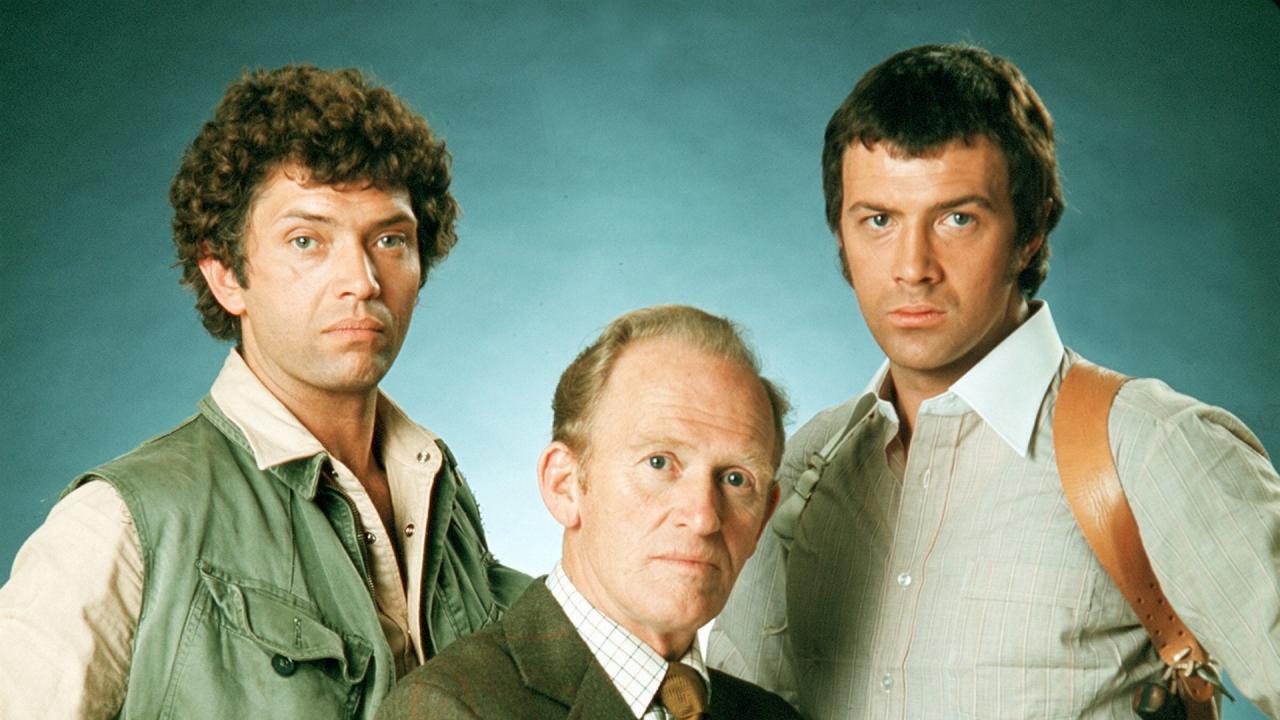 The Professionals