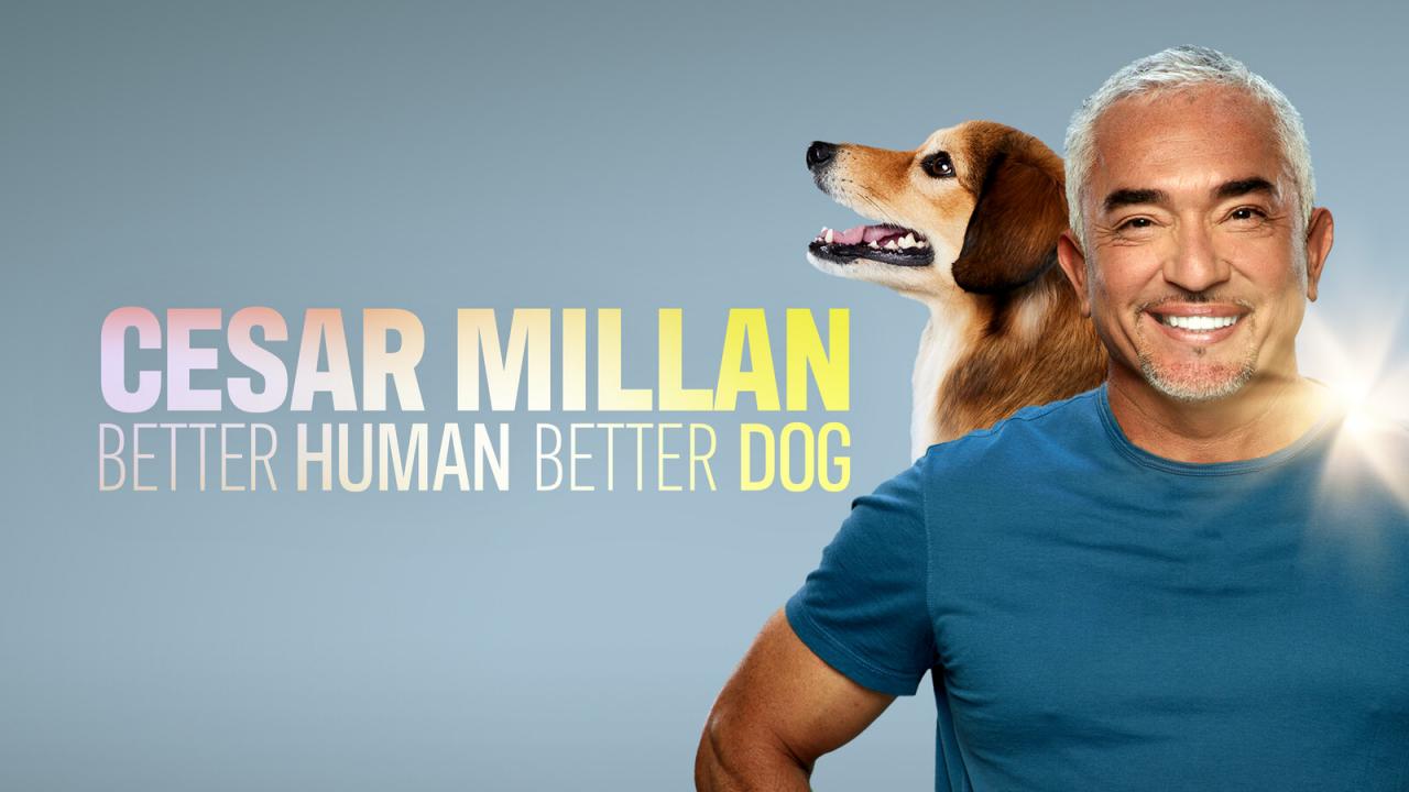 Cesar Millan: Jaký pán, takový pes / 02.09.2024, 23:41