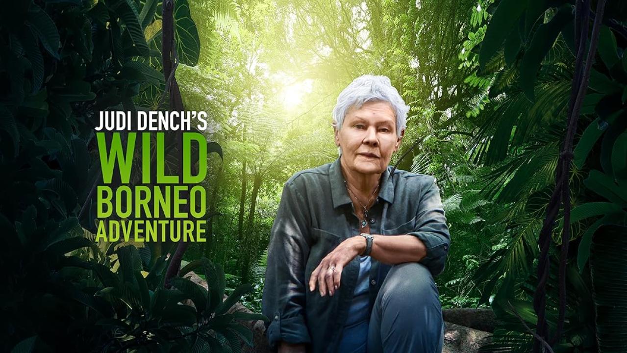 Divoké Borneo Judi Denchové