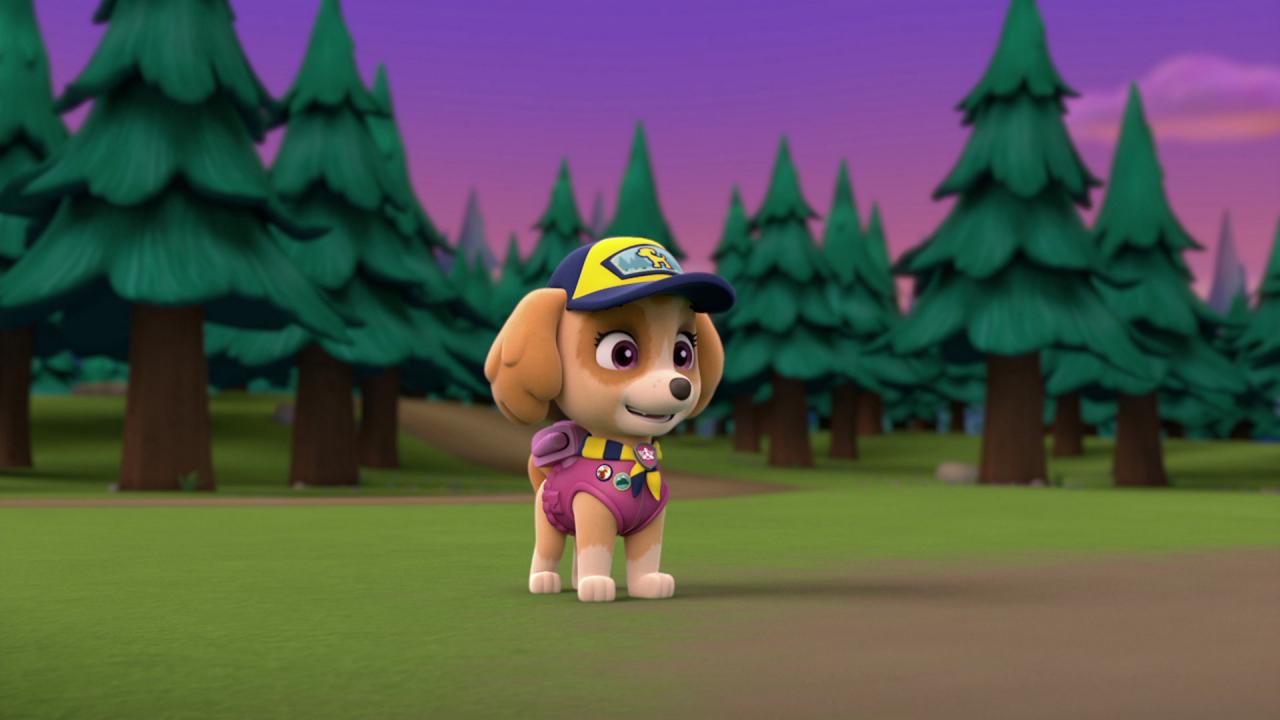 PAW Patrol