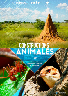 Constructions animales