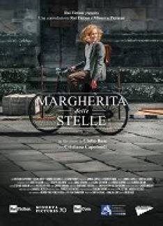 Margherita delle stelle