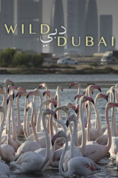 Dubai's Amazing Animals