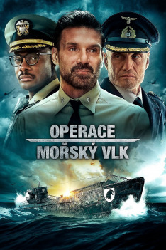 Operace Mořský vlk