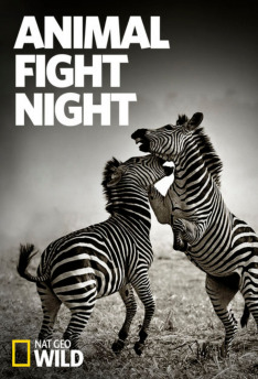 Animal Fight Club