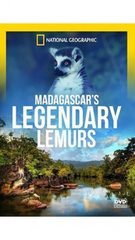 Legendární lemuři Madagaskaru