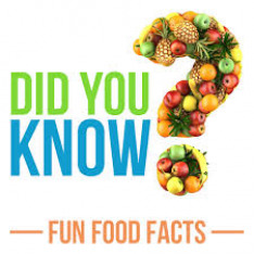 Food Fact Fun