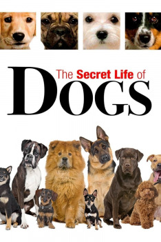 Secret Life of Dogs