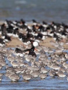 Die Nordfriesischen Inseln - Im Griff der Naturgewalten